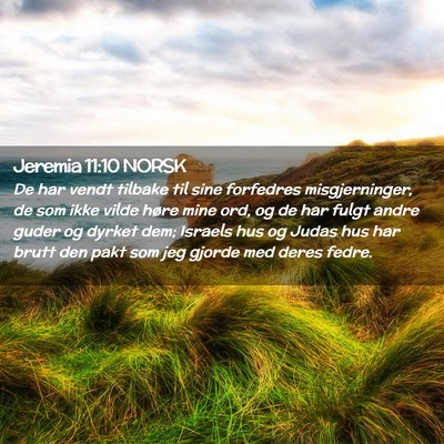 Picture 02 - Jeremia 11:10 NORSK - De har vendt tilbake til sine forfedres - Bible Verse Picture