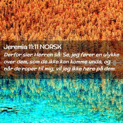 Picture 02 - Jeremia 11:11 NORSK - Derfor sier Herren så: Se, jeg fører en ulykke - Bible Verse Picture