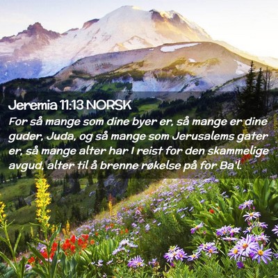 Picture 02 - Jeremia 11:13 NORSK - For så mange som dine byer er, så mange er dine - Bible Verse Picture