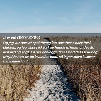 Picture 02 - Jeremia 11:19 NORSK - Og jeg var som et spakferdig lam som føres bort - Bible Verse Picture