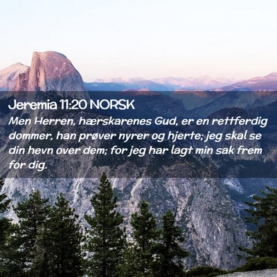 Picture 02 - Jeremia 11:20 NORSK - Men Herren, hærskarenes Gud, er en rettferdig - Bible Verse Picture