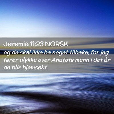 Picture 02 - Jeremia 11:23 NORSK - og de skal ikke ha noget tilbake; for jeg fører - Bible Verse Picture