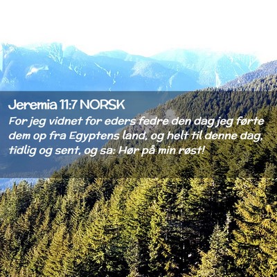 Picture 02 - Jeremia 11:7 NORSK - For jeg vidnet for eders fedre den dag jeg førte - Bible Verse Picture