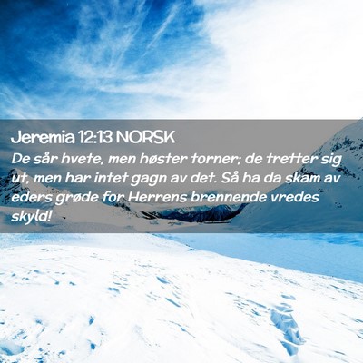 Picture 02 - Jeremia 12:13 NORSK - De sår hvete, men høster torner; de tretter sig - Bible Verse Picture