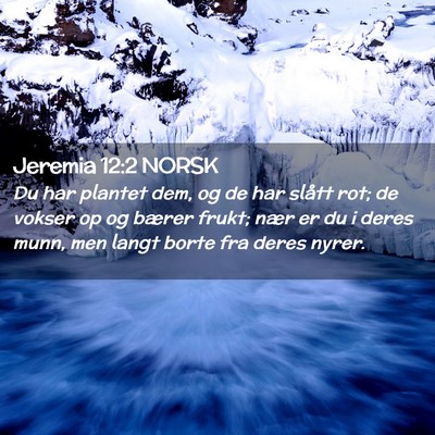 Picture 02 - Jeremia 12:2 NORSK - Du har plantet dem, og de har slått rot; de - Bible Verse Picture