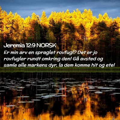 Picture 02 - Jeremia 12:9 NORSK - Er min arv en spraglet rovfugl? Det er jo - Bible Verse Picture