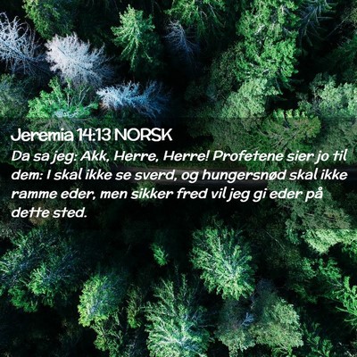 Picture 02 - Jeremia 14:13 NORSK - Da sa jeg: Akk, Herre, Herre! Profetene sier jo - Bible Verse Picture