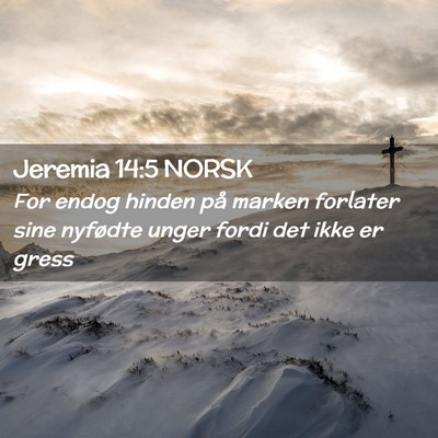 Picture 02 - Jeremia 14:5 NORSK - For endog hinden på marken forlater sine - Bible Verse Picture