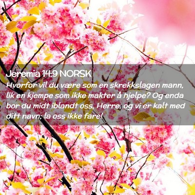 Picture 02 - Jeremia 14:9 NORSK - Hvorfor vil du være som en skrekkslagen mann, - Bible Verse Picture