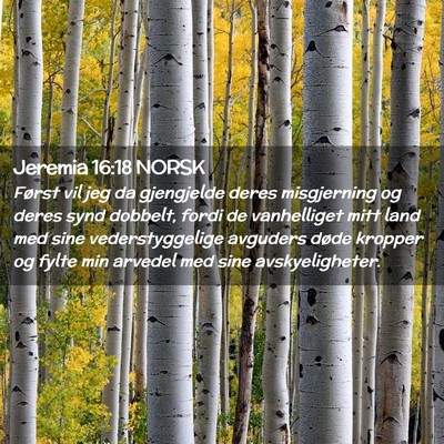 Picture 02 - Jeremia 16:18 NORSK - Først vil jeg da gjengjelde deres misgjerning og - Bible Verse Picture
