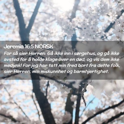 Picture 02 - Jeremia 16:5 NORSK - For så sier Herren: Gå ikke inn i sørgehus, og - Bible Verse Picture