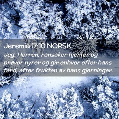Picture 02 - Jeremia 17:10 NORSK - Jeg, Herren, ransaker hjerter og prøver nyrer og - Bible Verse Picture