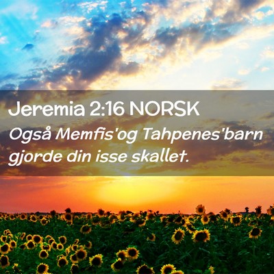 Picture 02 - Jeremia 2:16 NORSK - Også Memfis'og Tahpenes'barn gjorde din isse - Bible Verse Picture