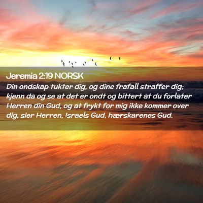 Picture 02 - Jeremia 2:19 NORSK - Din ondskap tukter dig, og dine frafall straffer - Bible Verse Picture