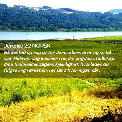 Picture 02 - Jeremia 2:2 NORSK - Gå avsted og rop ut for Jerusalems ører og si: - Bible Verse Picture