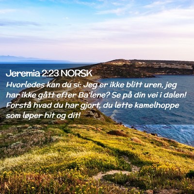 Picture 02 - Jeremia 2:23 NORSK - Hvorledes kan du si: Jeg er ikke blitt uren, jeg - Bible Verse Picture