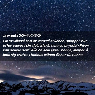 Picture 02 - Jeremia 2:24 NORSK - Lik et villesel som er vant til ørkenen, snapper - Bible Verse Picture