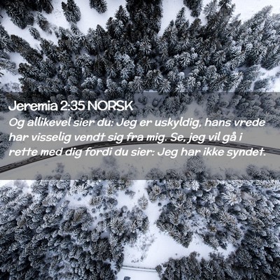 Picture 02 - Jeremia 2:35 NORSK - Og allikevel sier du: Jeg er uskyldig, hans vrede - Bible Verse Picture