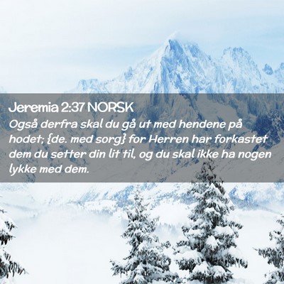 Picture 02 - Jeremia 2:37 NORSK - Også derfra skal du gå ut med hendene på - Bible Verse Picture