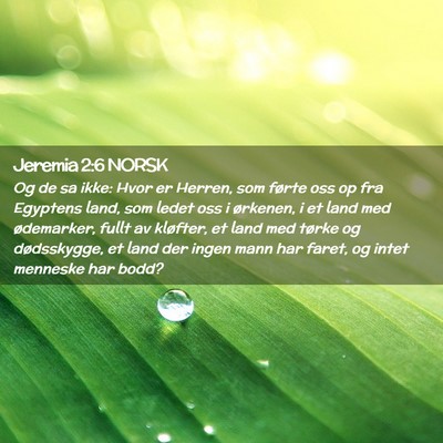 Picture 02 - Jeremia 2:6 NORSK - Og de sa ikke: Hvor er Herren, som førte oss op - Bible Verse Picture