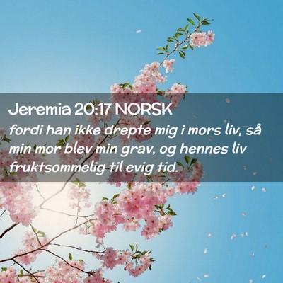 Picture 02 - Jeremia 20:17 NORSK - fordi han ikke drepte mig i mors liv, så min mor - Bible Verse Picture