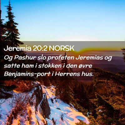 Picture 02 - Jeremia 20:2 NORSK - Og Pashur slo profeten Jeremias og satte ham i - Bible Verse Picture