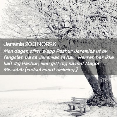 Picture 02 - Jeremia 20:3 NORSK - Men dagen efter slapp Pashur Jeremias ut av - Bible Verse Picture