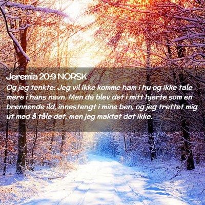 Picture 02 - Jeremia 20:9 NORSK - Og jeg tenkte: Jeg vil ikke komme ham i hu og - Bible Verse Picture