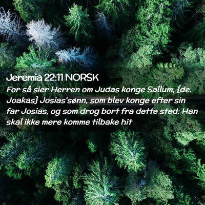 Picture 02 - Jeremia 22:11 NORSK - For så sier Herren om Judas konge Sallum, {de. - Bible Verse Picture