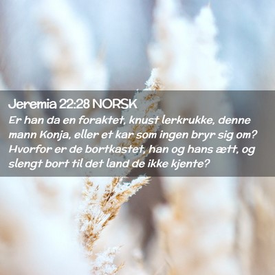 Picture 02 - Jeremia 22:28 NORSK - Er han da en foraktet, knust lerkrukke, denne - Bible Verse Picture
