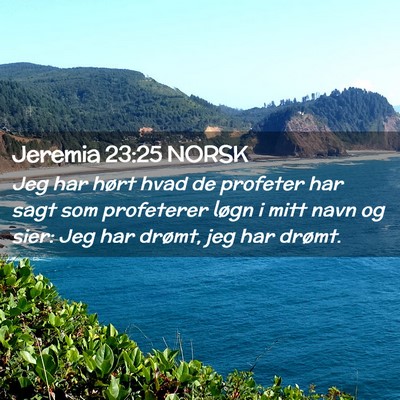 Picture 02 - Jeremia 23:25 NORSK - Jeg har hørt hvad de profeter har sagt som - Bible Verse Picture