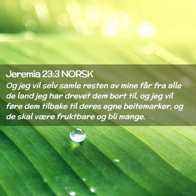 Picture 02 - Jeremia 23:3 NORSK - Og jeg vil selv samle resten av mine får fra - Bible Verse Picture