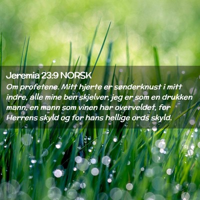 Picture 02 - Jeremia 23:9 NORSK - Om profetene. Mitt hjerte er sønderknust i mitt - Bible Verse Picture