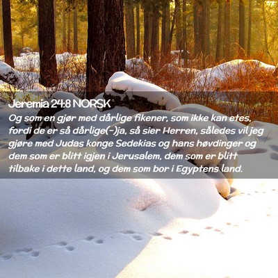 Picture 02 - Jeremia 24:8 NORSK - Og som en gjør med dårlige fikener, som ikke - Bible Verse Picture