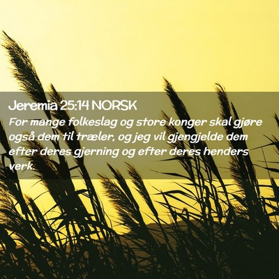 Picture 02 - Jeremia 25:14 NORSK - For mange folkeslag og store konger skal gjøre - Bible Verse Picture