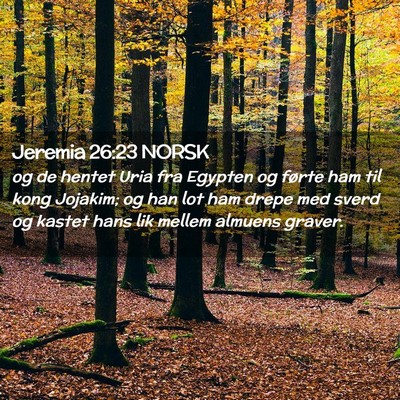 Picture 02 - Jeremia 26:23 NORSK - og de hentet Uria fra Egypten og førte ham til - Bible Verse Picture