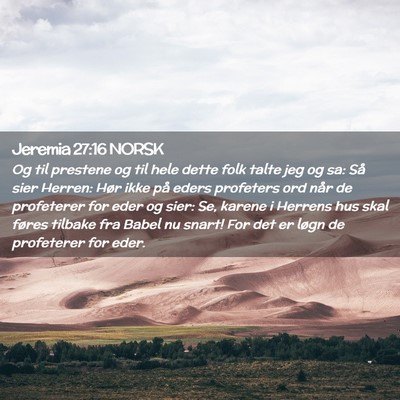 Picture 02 - Jeremia 27:16 NORSK - Og til prestene og til hele dette folk talte jeg - Bible Verse Picture
