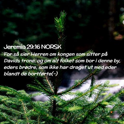 Picture 02 - Jeremia 29:16 NORSK - For så sier Herren om kongen som sitter på - Bible Verse Picture