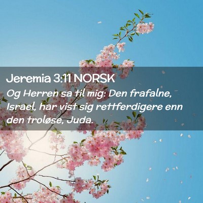 Picture 02 - Jeremia 3:11 NORSK - Og Herren sa til mig: Den frafalne, Israel, har - Bible Verse Picture