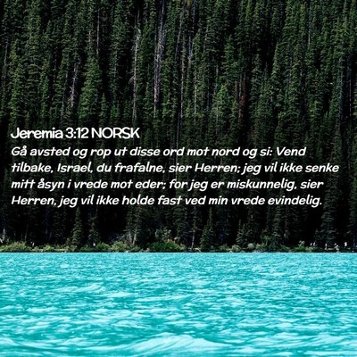 Picture 02 - Jeremia 3:12 NORSK - Gå avsted og rop ut disse ord mot nord og si: - Bible Verse Picture