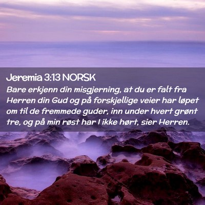 Picture 02 - Jeremia 3:13 NORSK - Bare erkjenn din misgjerning, at du er falt fra - Bible Verse Picture