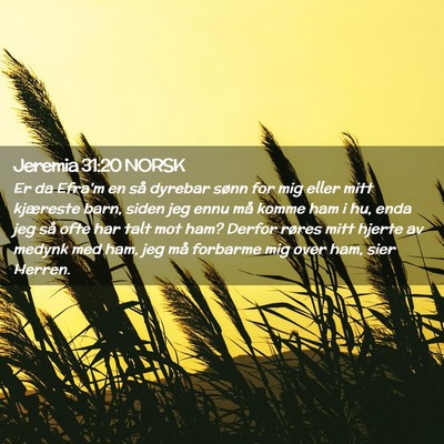 Picture 02 - Jeremia 31:20 NORSK - Er da Efra'm en så dyrebar sønn for mig eller - Bible Verse Picture