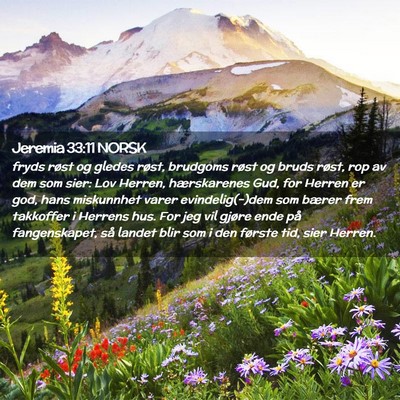 Picture 02 - Jeremia 33:11 NORSK - fryds røst og gledes røst, brudgoms røst og - Bible Verse Picture
