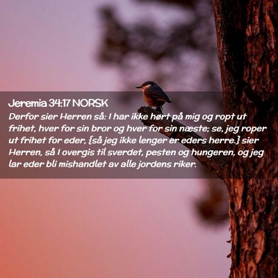 Picture 02 - Jeremia 34:17 NORSK - Derfor sier Herren så: I har ikke hørt på mig - Bible Verse Picture