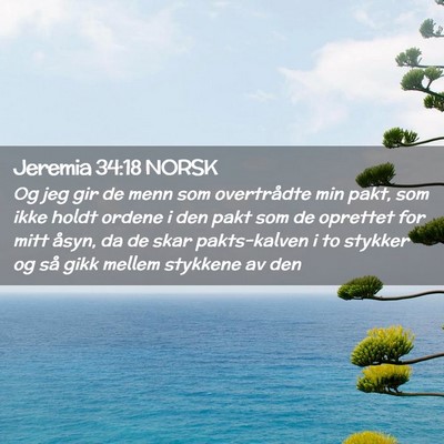 Picture 02 - Jeremia 34:18 NORSK - Og jeg gir de menn som overtrådte min pakt, som - Bible Verse Picture