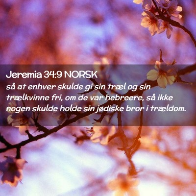 Picture 02 - Jeremia 34:9 NORSK - så at enhver skulde gi sin træl og sin - Bible Verse Picture