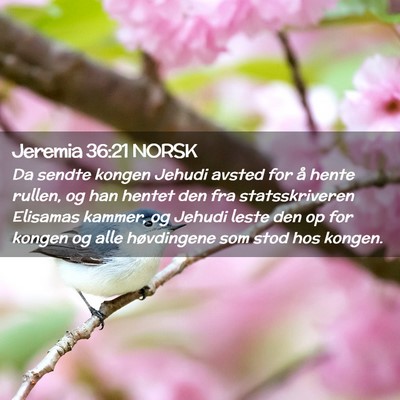 Picture 02 - Jeremia 36:21 NORSK - Da sendte kongen Jehudi avsted for å hente - Bible Verse Picture