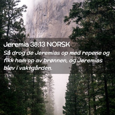 Picture 02 - Jeremia 38:13 NORSK - Så drog de Jeremias op med repene og fikk ham op - Bible Verse Picture