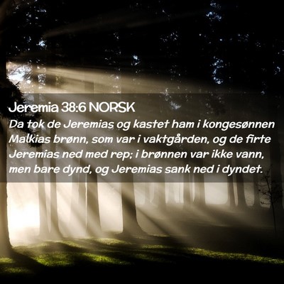 Picture 02 - Jeremia 38:6 NORSK - Da tok de Jeremias og kastet ham i kongesønnen - Bible Verse Picture