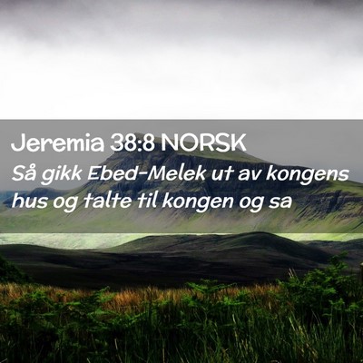 Picture 02 - Jeremia 38:8 NORSK - Så gikk Ebed-Melek ut av kongens hus og talte - Bible Verse Picture